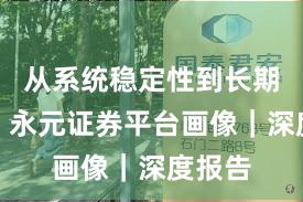 从系统稳定性到长期主义：永元证券平台画像｜深度报告