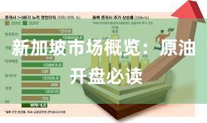 新加坡市场概览：原油 开盘必读