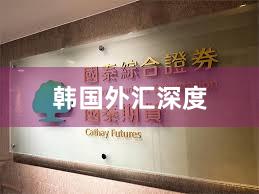 韩国外汇深度