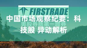 中国市场观察纪要：科技股 异动解析